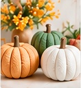 Fall craft